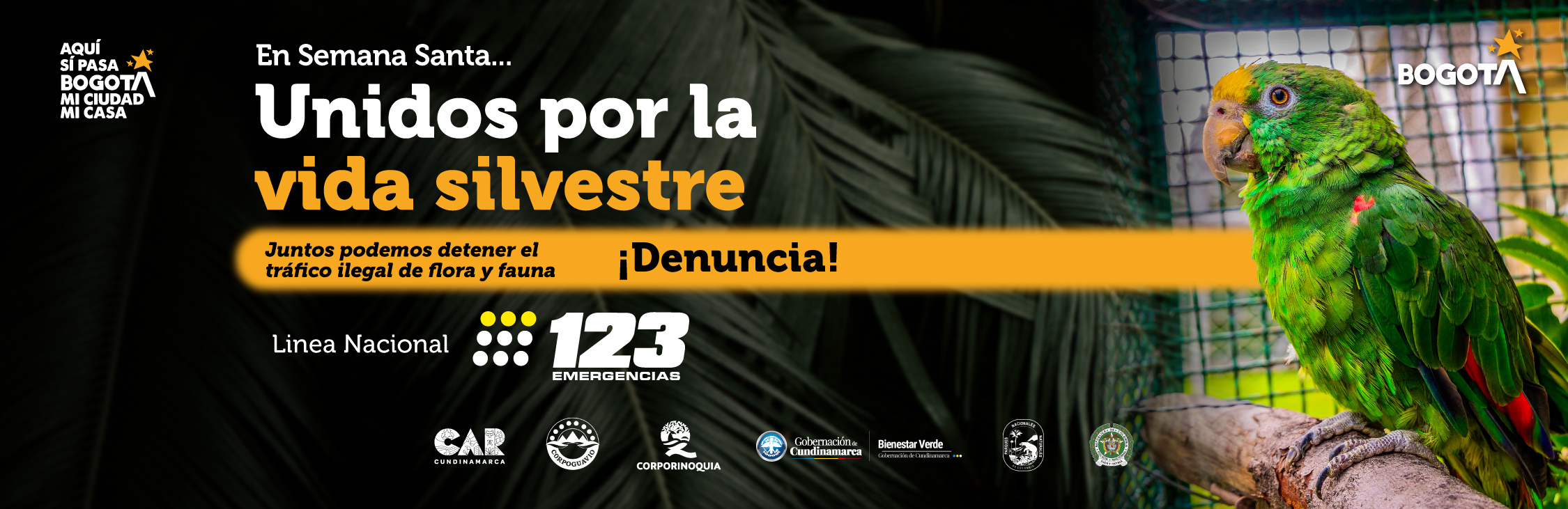 flora y fauna silvestre durante la Semana Santa