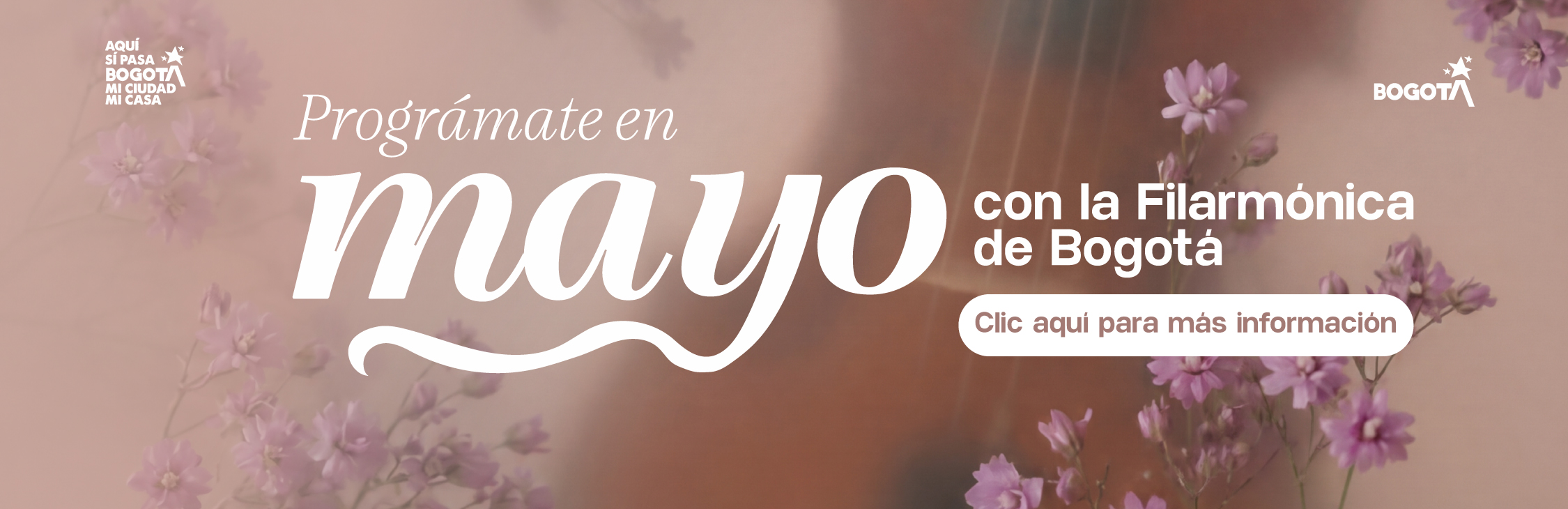 Filarmónica Mayo