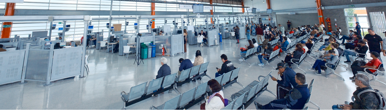 Racionaliz de Trámites