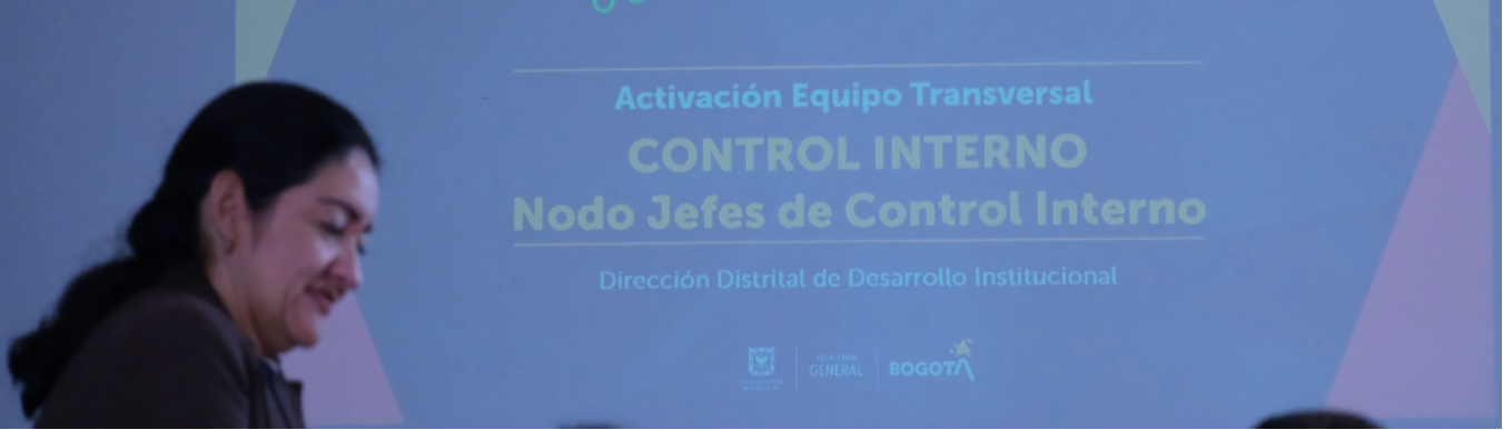 foto decorativa control interno