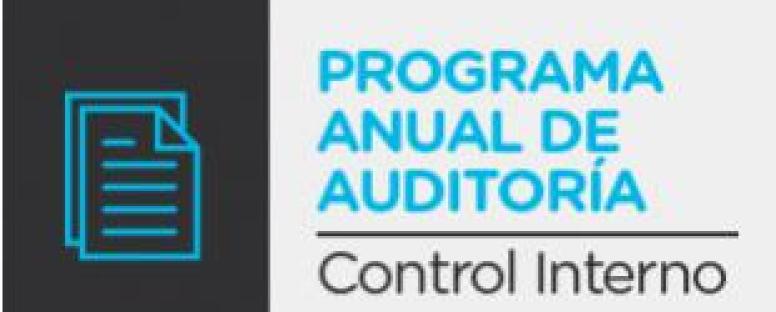 Proyecto de decreto Programa Anual de Auditoría - Control Interno