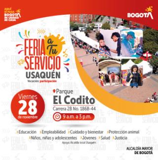 Feria El Codito 28 de noviembre
