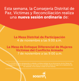 Sesión Ordinaria Mesa Distrital de Participación y Mesa de Enfoque Diferencial de Mujeres Víctimas del Conflicto Armado.